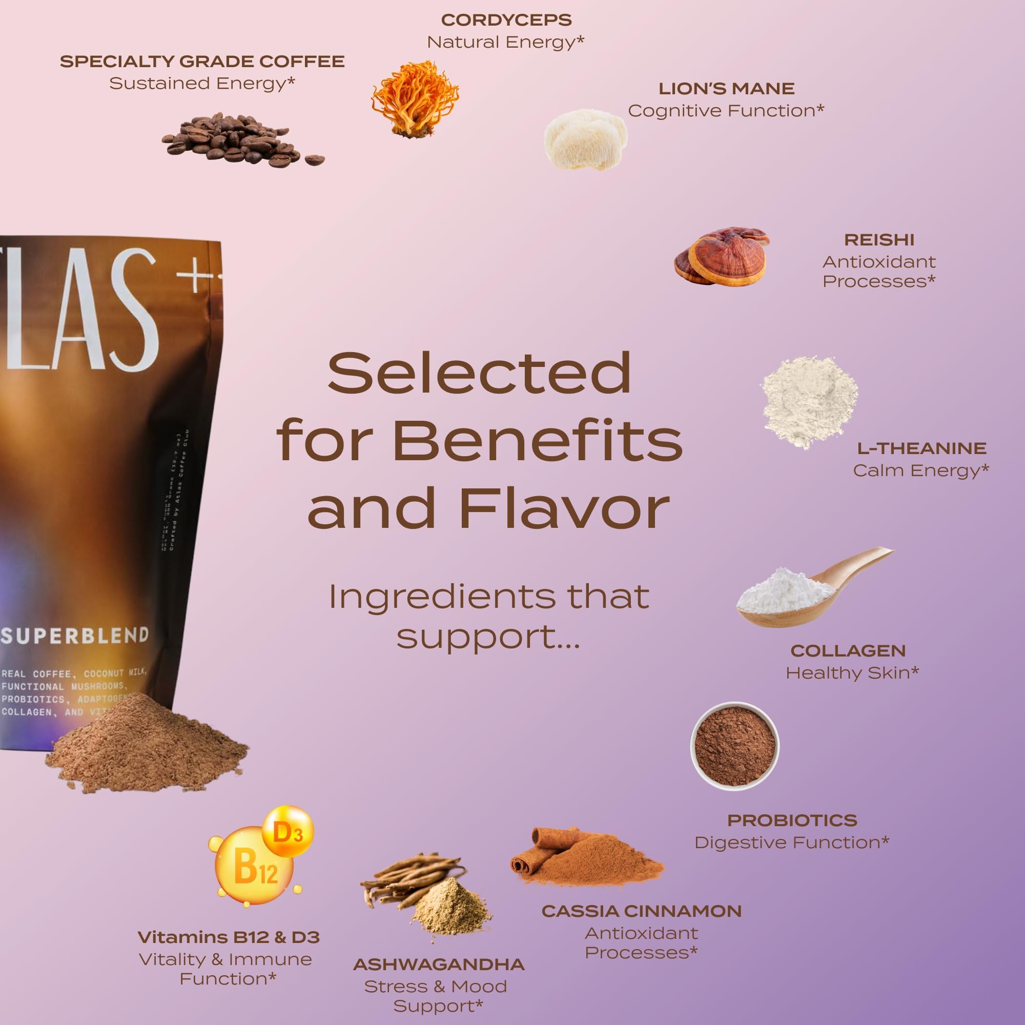 Atlas+ Mushroom Coffee Superblend– Premium Coffee with Collagen, Probiotics, D3 & B12, Lion’s Mane, Reishi, Cordyceps– for Energy, Focus, Immunity & Gut Health– 28 Servings (1 Bag)